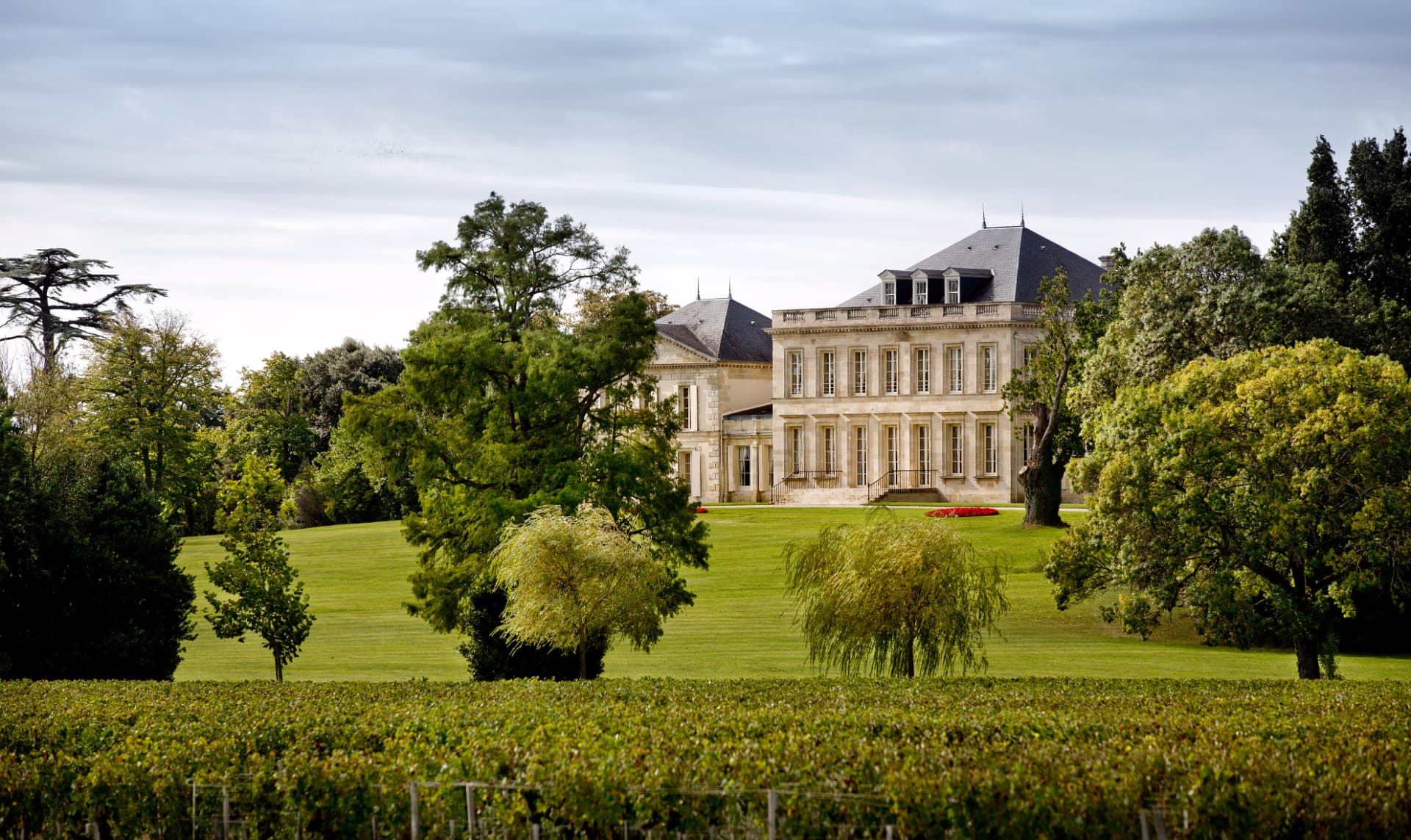 A Bordeaux château surrounded by parkland, with rows of vines in the foreground